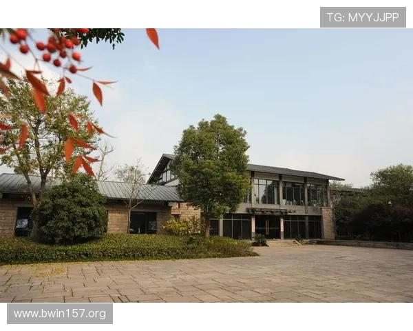 喜悦娱乐杭州股份有限公司官网全面介绍与最新动态